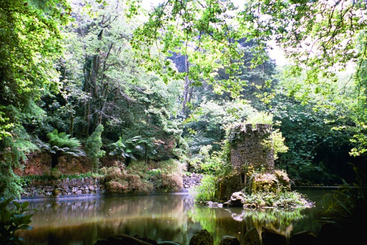 Img00008k.jpg