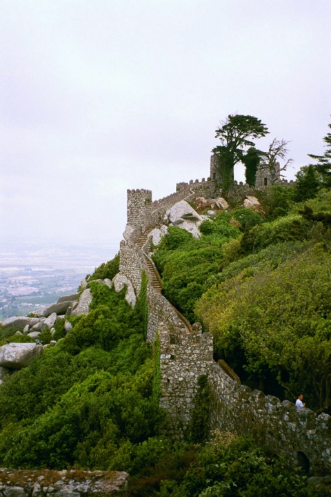 Img00008q.jpg