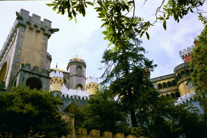 Img00008u.jpg