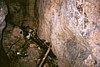 Img00008i.jpg