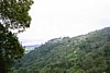 Img00008n.jpg