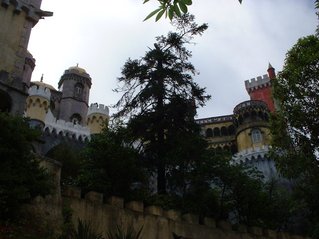 DSCF0274.JPG