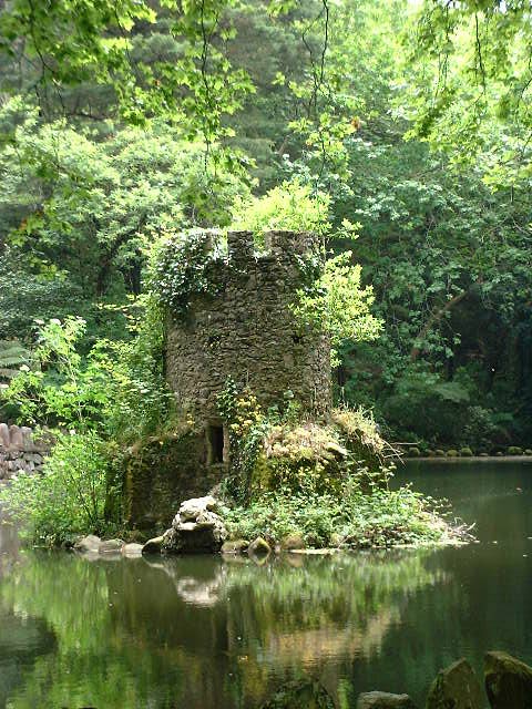 Dscf0263.jpg
