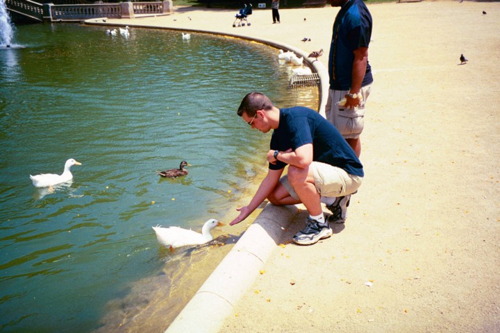 Img00012.jpg