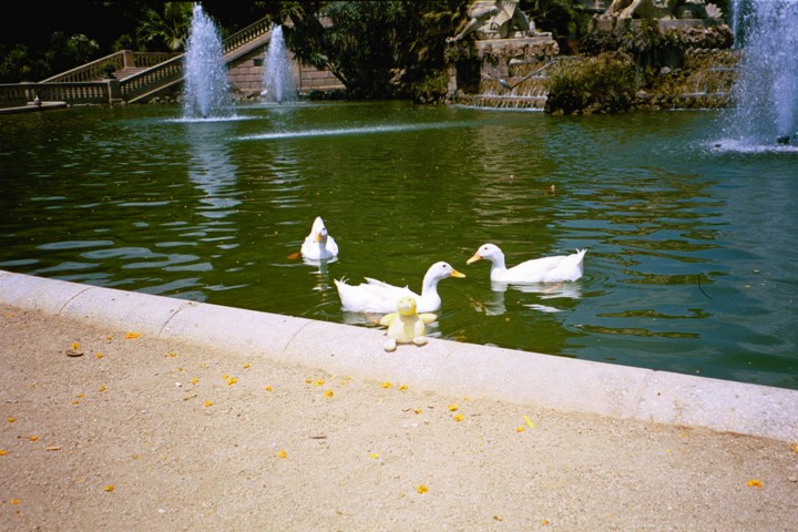 46.jpg