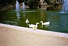 Img00034.jpg