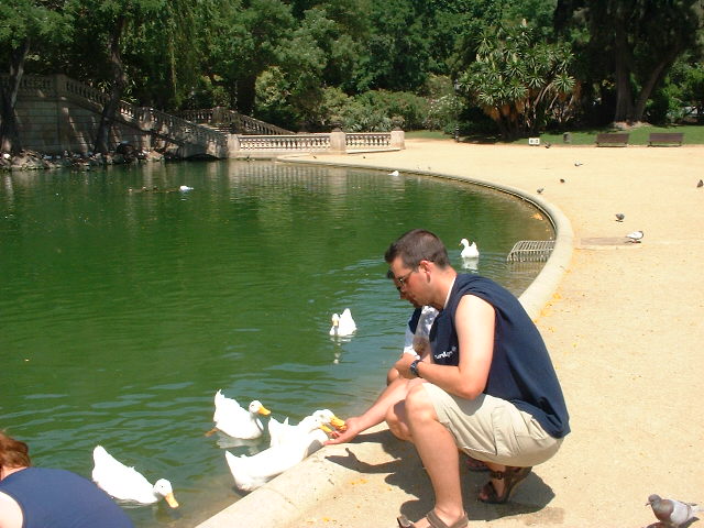 DSCF0364.JPG