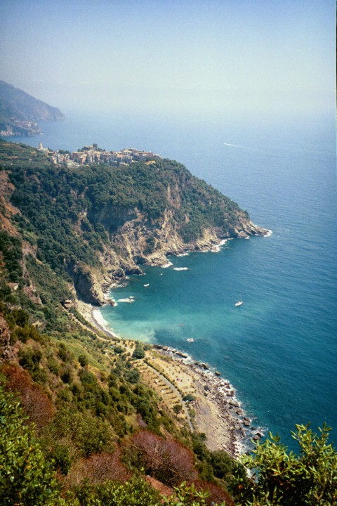 Img00006.jpg