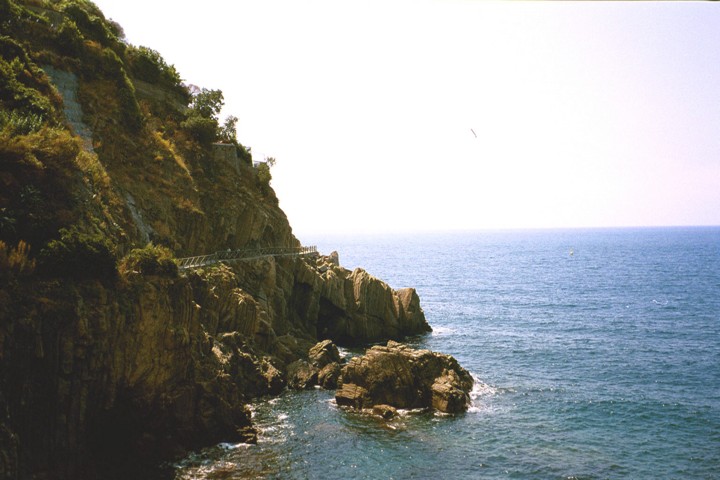 Img00005.jpg