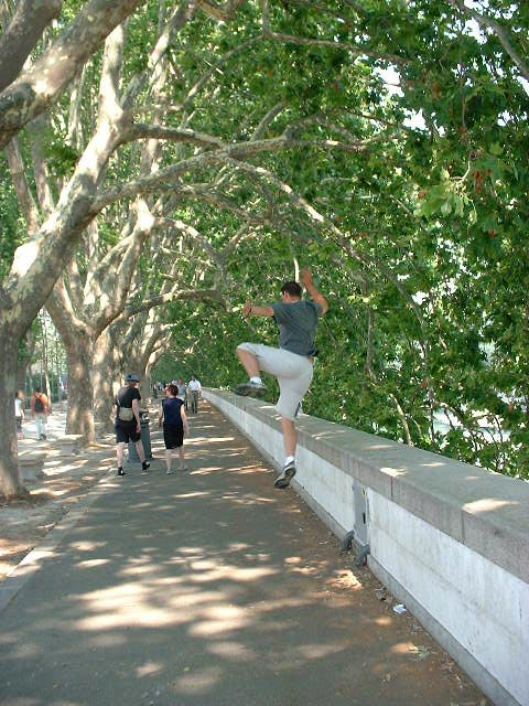 Dscf0426.jpg