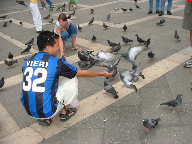 25.jpg