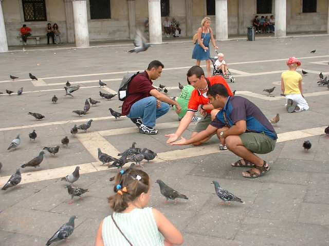 DSCF0480.JPG