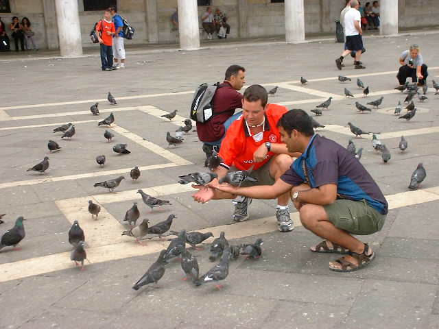 DSCF0482.JPG