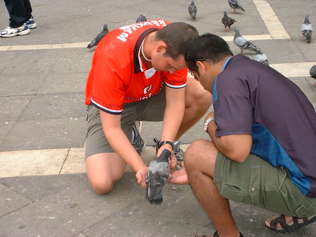 DSCF0483.JPG