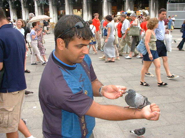 DSCF0484.JPG