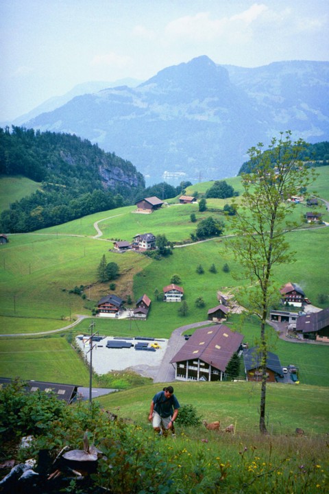 Img00017.jpg