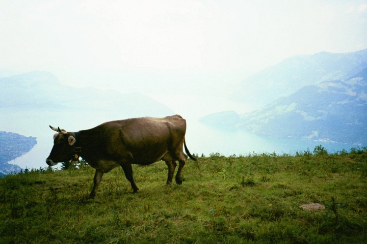 Img00023.jpg