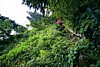 Img00020.jpg