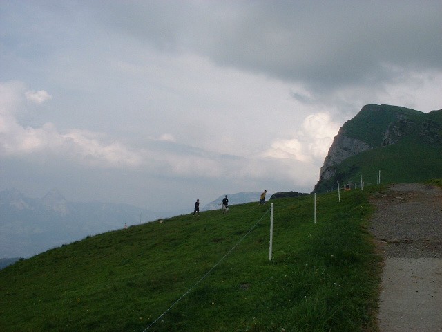 29b.jpg