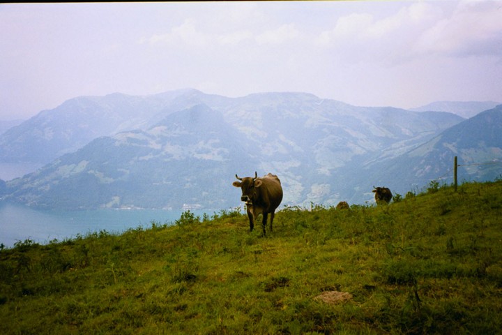 Img00004.jpg