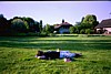 Img00016.jpg