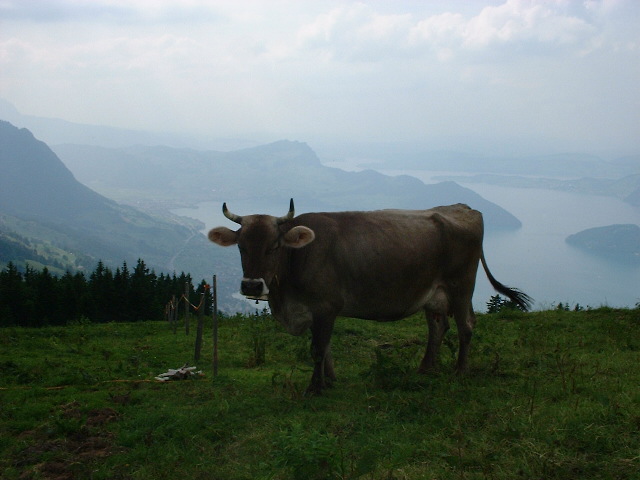 DSCF0516.JPG