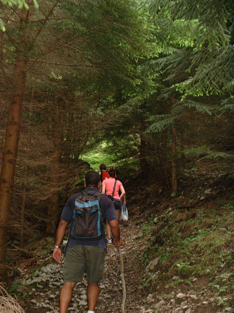 Dscf0505.jpg