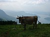 DSCF0516.JPG