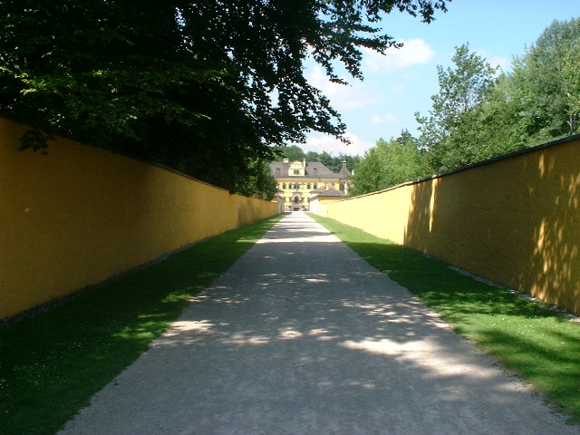 41c.jpg