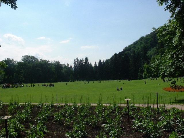 41e.jpg