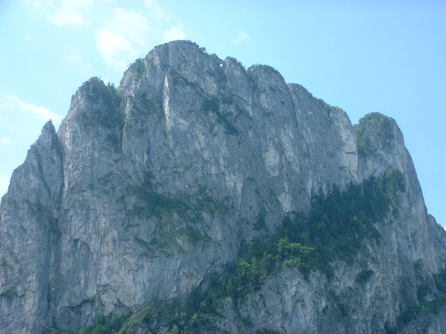 41i.jpg