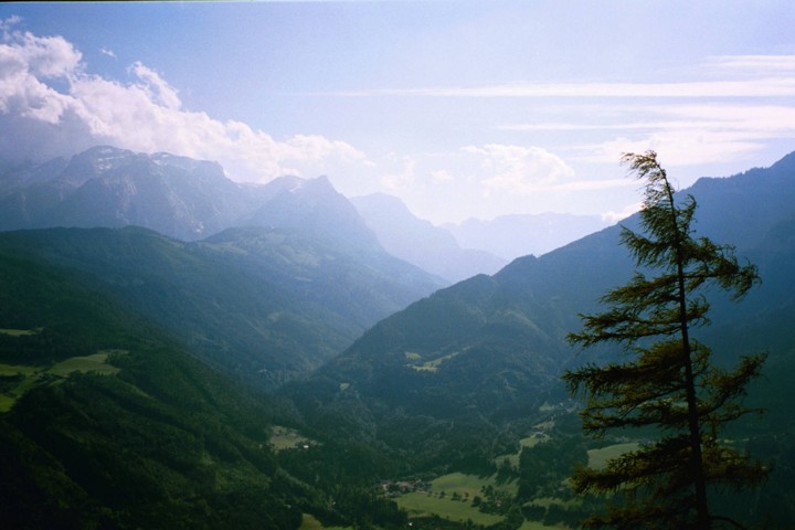 Img00020.jpg
