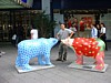 DSCF0645.JPG