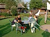 DSCF0212.JPG