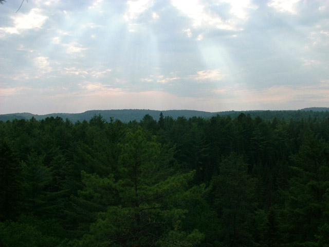 DSCF0013.jpg