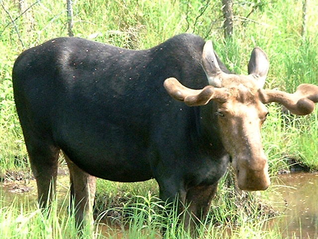 DSCF0028.jpg