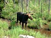 DSCF0027.jpg