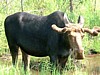 DSCF0028.jpg