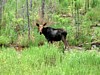 DSCF0044.jpg