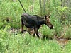 DSCF0046.jpg