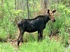 DSCF0048.jpg