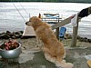 DSCF0021.jpg
