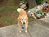 DSCF0071.jpg
