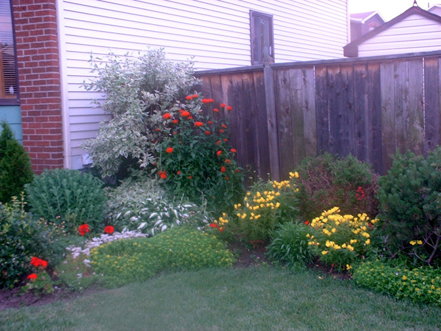 DSCF0039.jpg
