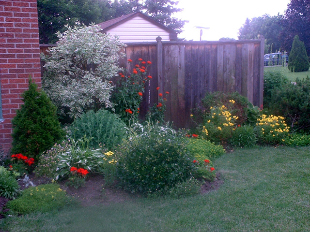 DSCF0040.jpg