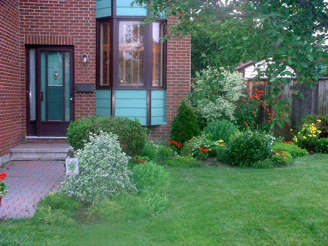 DSCF0041.jpg
