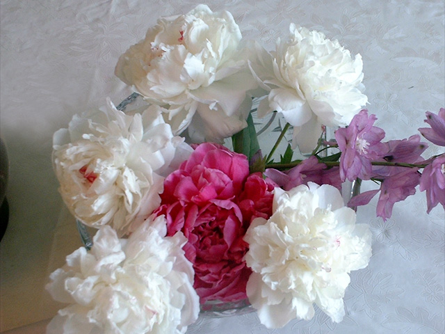 DSCF0050.jpg