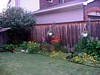 DSCF0037.jpg