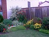 DSCF0039.jpg