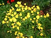 DSCF0046.jpg